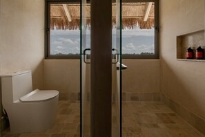 Shower, hair dryer, towels