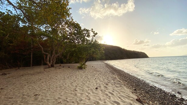 A beach with a sandy shore, pebbles, and a tree line. - L'oiseau du Paradis, Charmant T2 Avec vue Imprenable (Les Trois-Îlets)