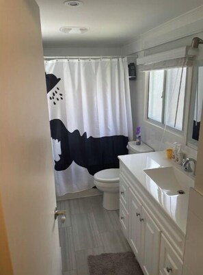 Hair dryer, towels, soap, shampoo