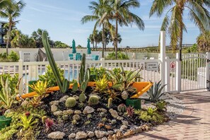 Image sans description, 3 de 37, bouton