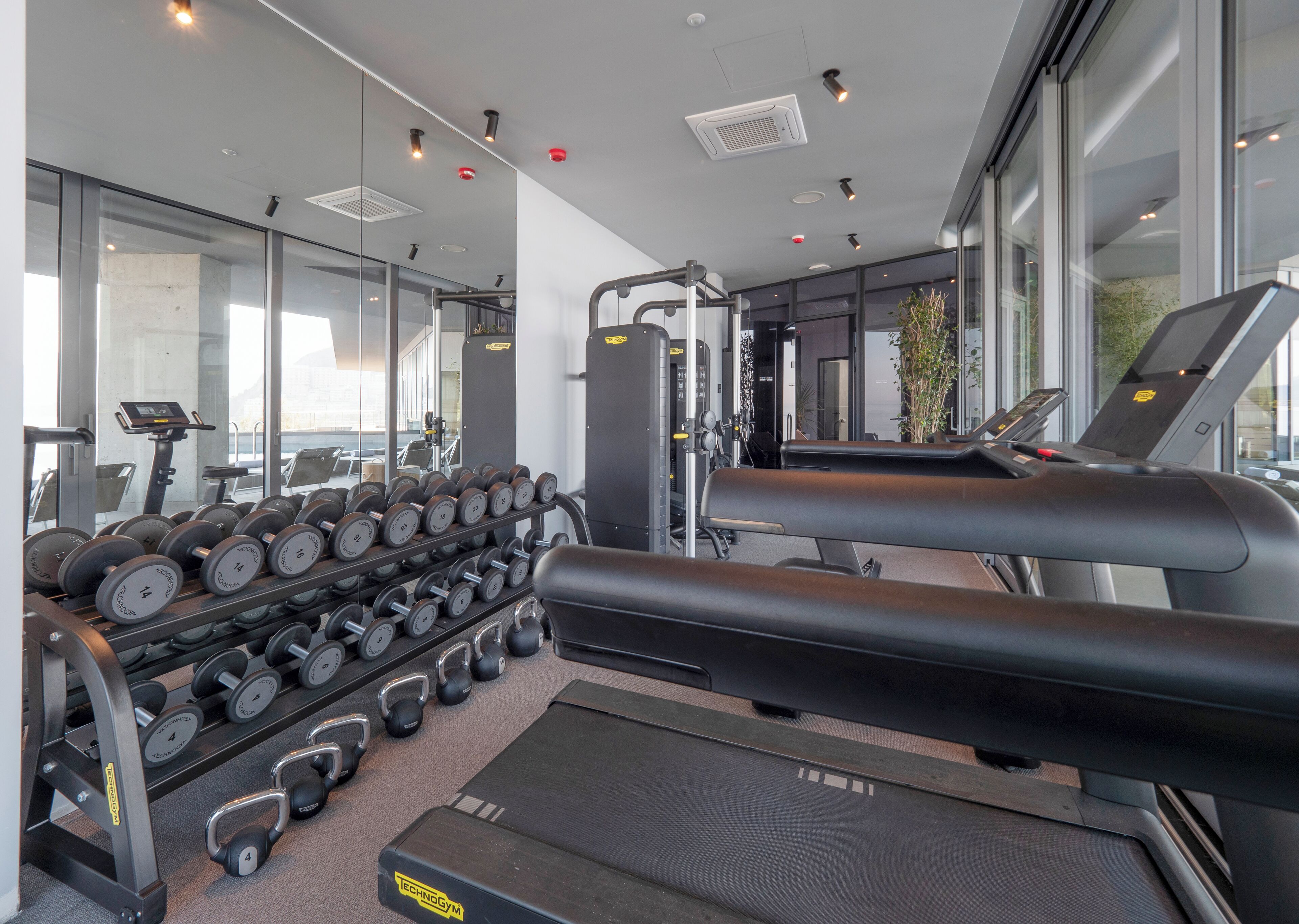 Ein modernes Fitnessstudio mit Laufbändern, Kurzhanteln und Kraftgeräten.