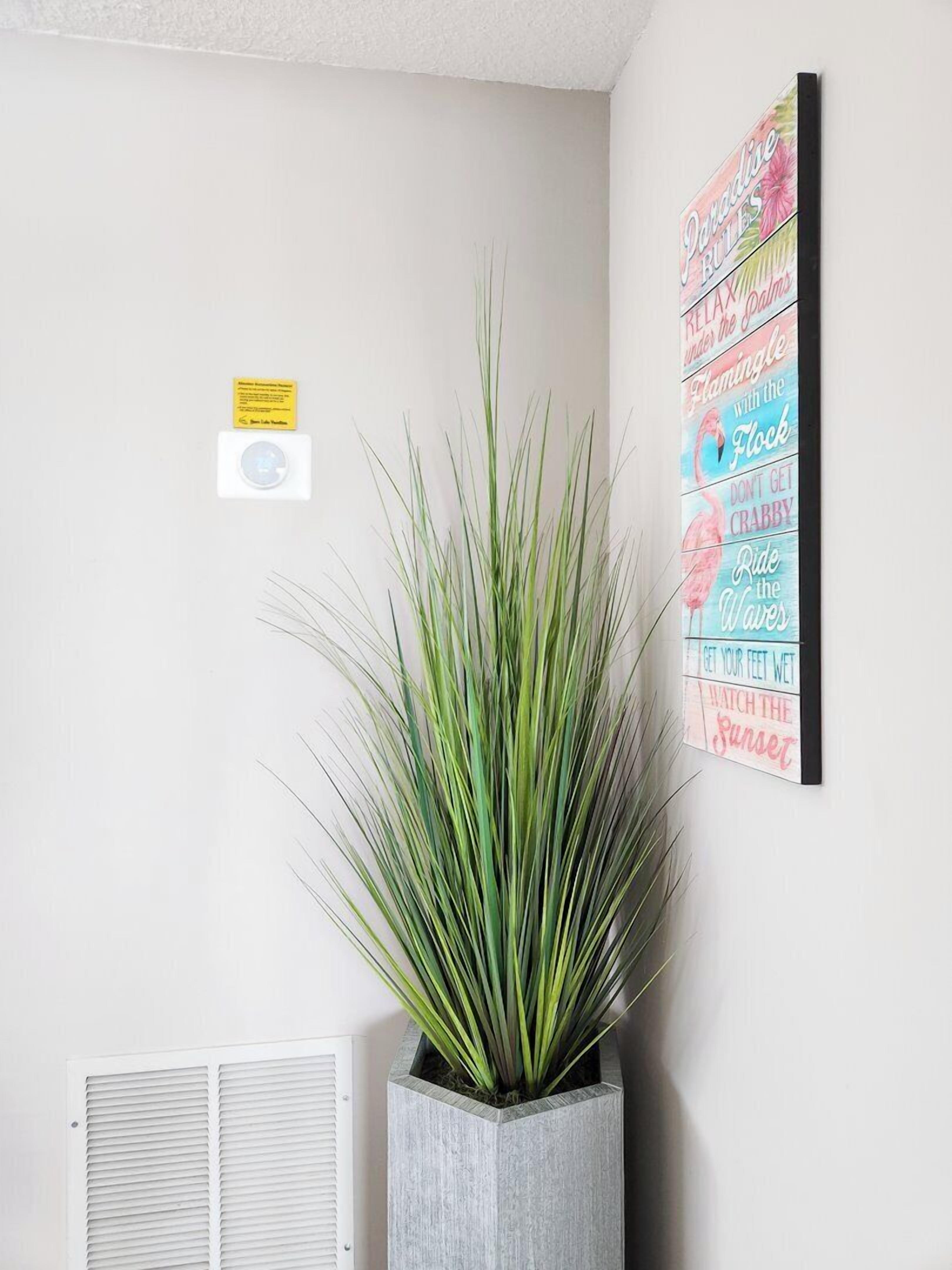 Une plante en pot dans un coin, un panneau mural affichant des phrases motivantes et un petit avis jaune.