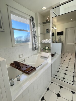 Shower, jetted bath, hair dryer, bidet