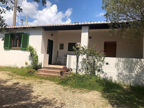 Joan House surrounded by greenery