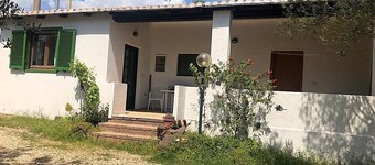 Joan House surrounded by greenery