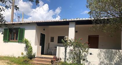 Joan House surrounded by greenery