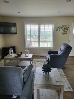 Smart TV, fireplace, Netflix, books