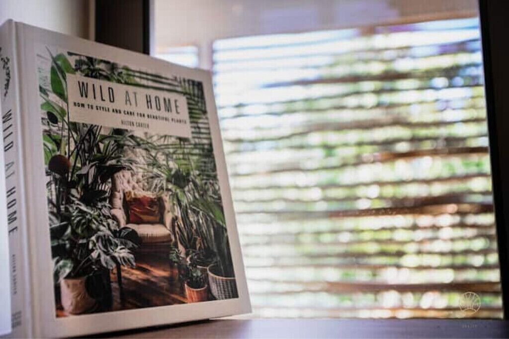 A book titled 'Wild at Home' on a table near a window with blinds.