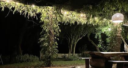 4 Bedroom Agritourism property in Paso a Palmar