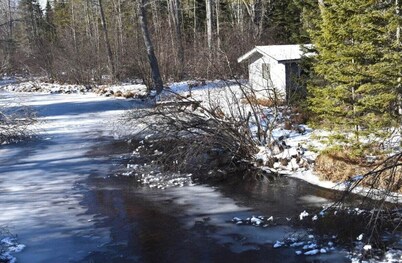 Mud Creek Cottage waterfront acre lot & game-room