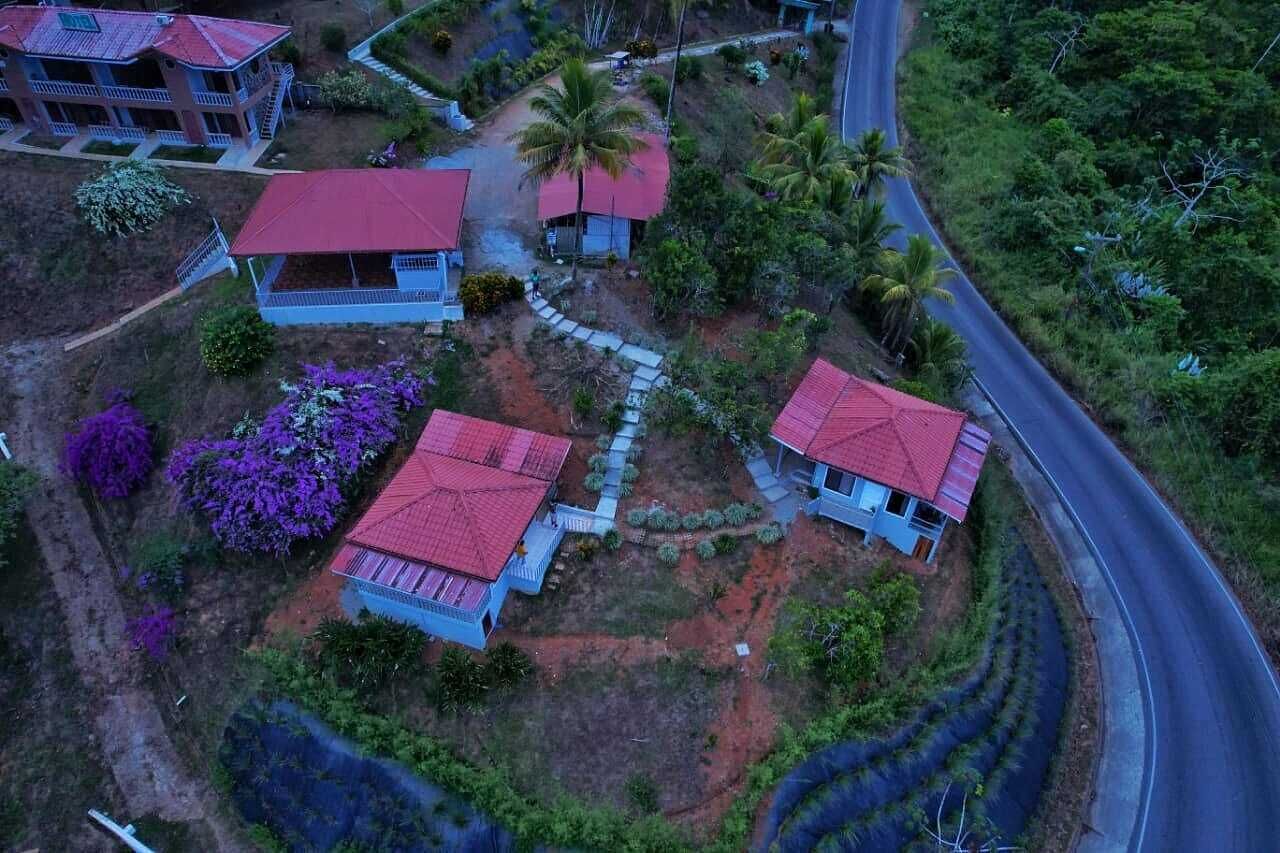 Vista aérea de una zona residencial con casas, una carretera sinuosa y vegetación circundante.