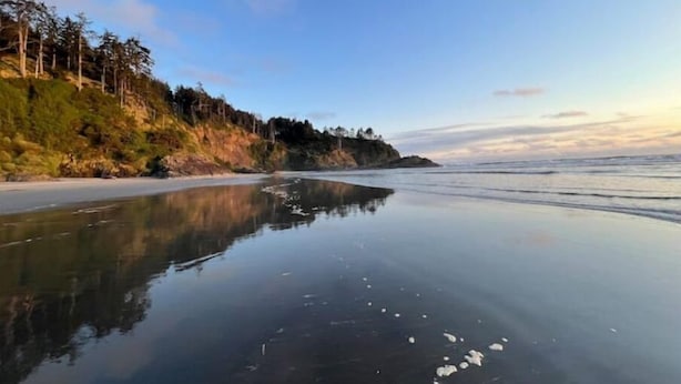 A beach with calm water, trees, and a clear sky.