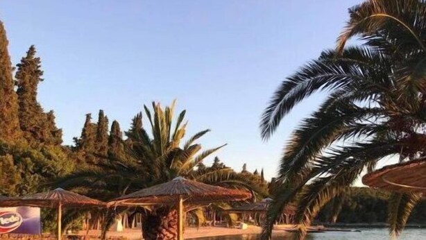 Ein Strandhotel mit Liegestühlen, einem Pool und Palmen.