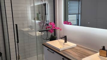 Shower, hair dryer, bidet, towels