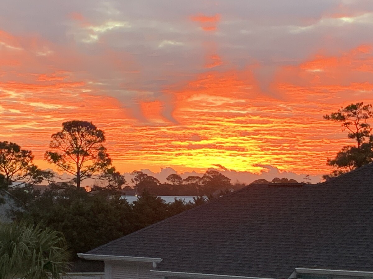 Imagen de perfil del propietario o de la propietaria