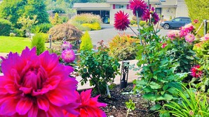 A residential area with a house, garden, and a view of the water. - 1400sft Spacious SeaView Retreat & Garden surround (Federal Way)
