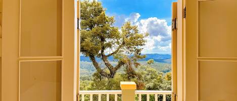 Land view from property