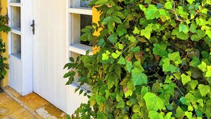 Un bâtiment avec une porte et des fenêtres blanches, en partie recouvertes de lierre vert.