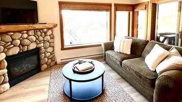 Smart TV, fireplace, Netflix, books