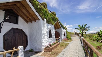 Premium bedding, down duvets, pillow-top beds, minibar