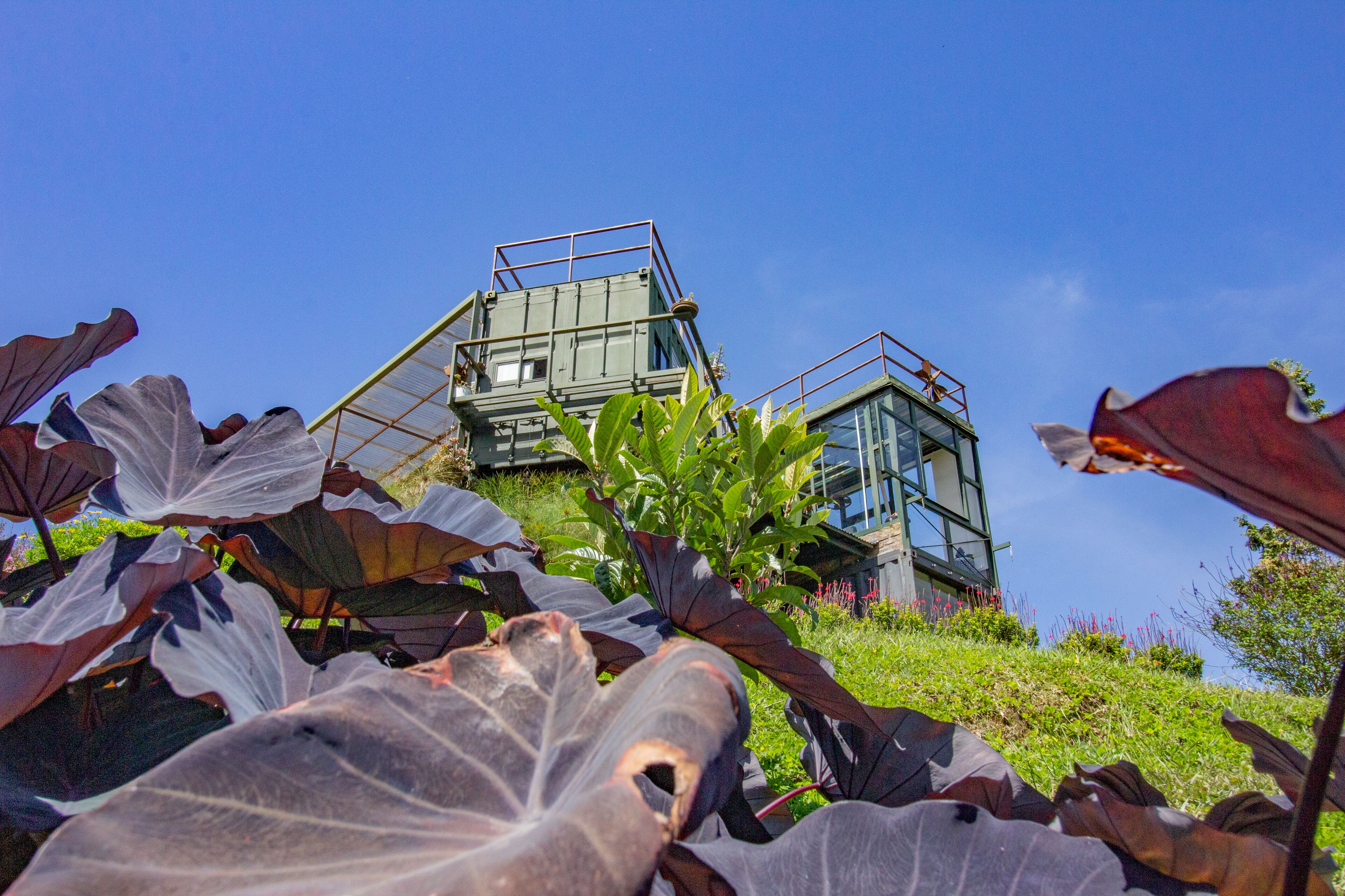Um edifício com design arquitetônico moderno, destacando uma estrutura metálica e elementos de vidro.