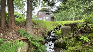 A house surrounded by lush greenery and a small stream.