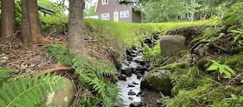 "Forest Lake House" by DMNikas spectacular lakefront Cape Breton Island, Canada