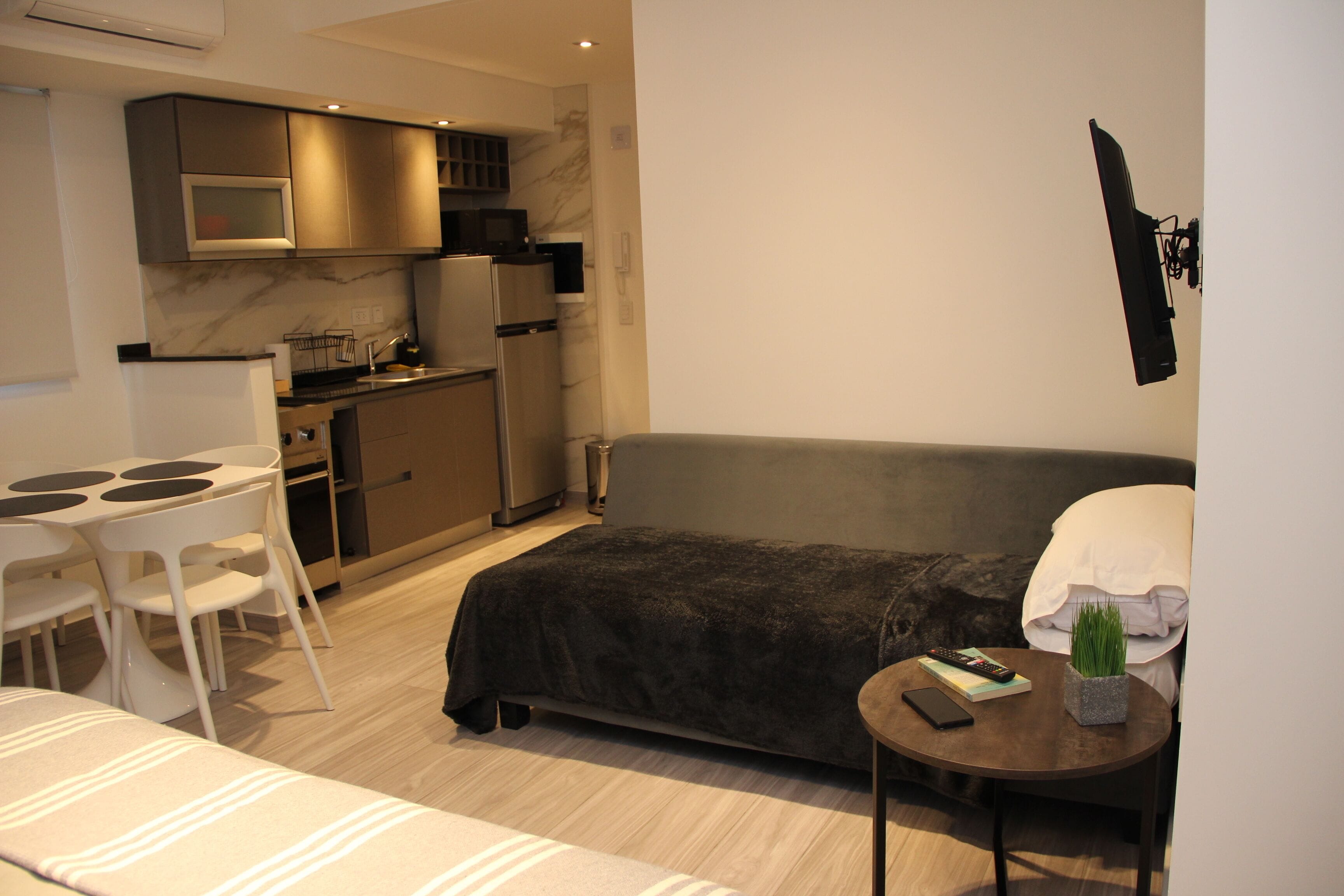 A compact living space with a kitchenette, a sofa, a dining table with chairs, and a small side table with a plant and remote controls.
