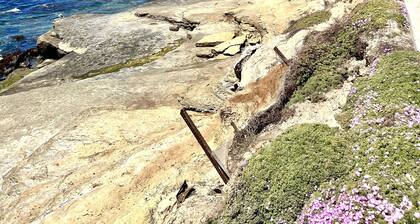 La Jolla Sea Cottage - walk to the beach and downtown