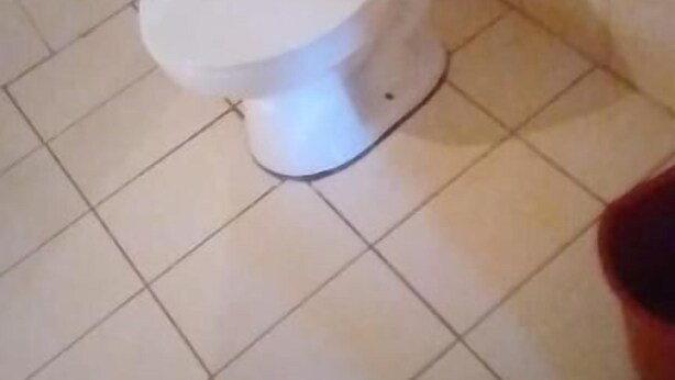 A standard toilet in a bathroom with white tiles on the floor and walls. - Cabinas Arribadas  (Cuajiniquil)