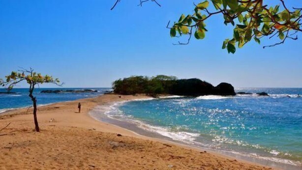A beach with clear blue water, a sandy shore, and a small tree. - Cabinas Arribadas  (Cuajiniquil)