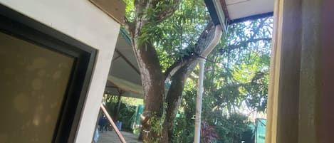 Un espace extérieur abrité, avec un arbre, des marches menant à une porte et une vue sur un jardin.