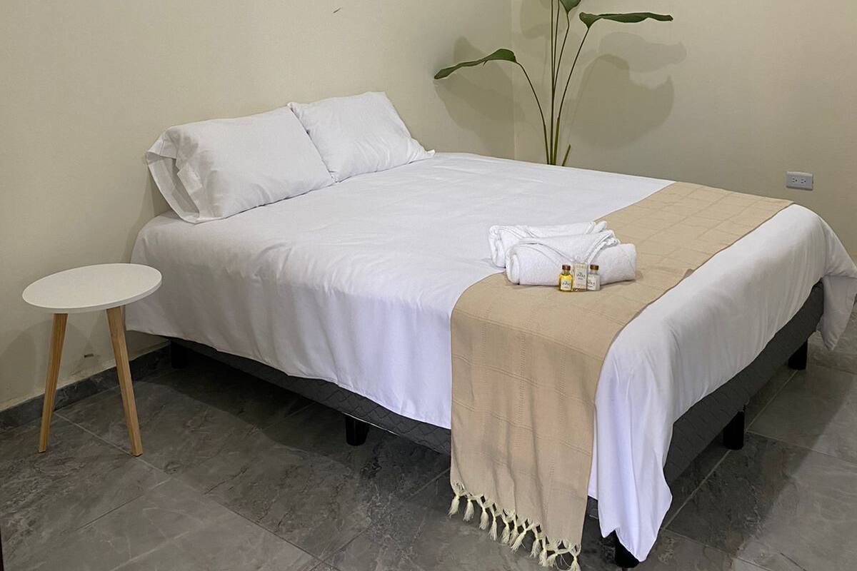 Una cama bien hecha con sábanas blancas y una manta color beige, una mesita redonda con superficie blanca y una planta verde grande en la esquina.