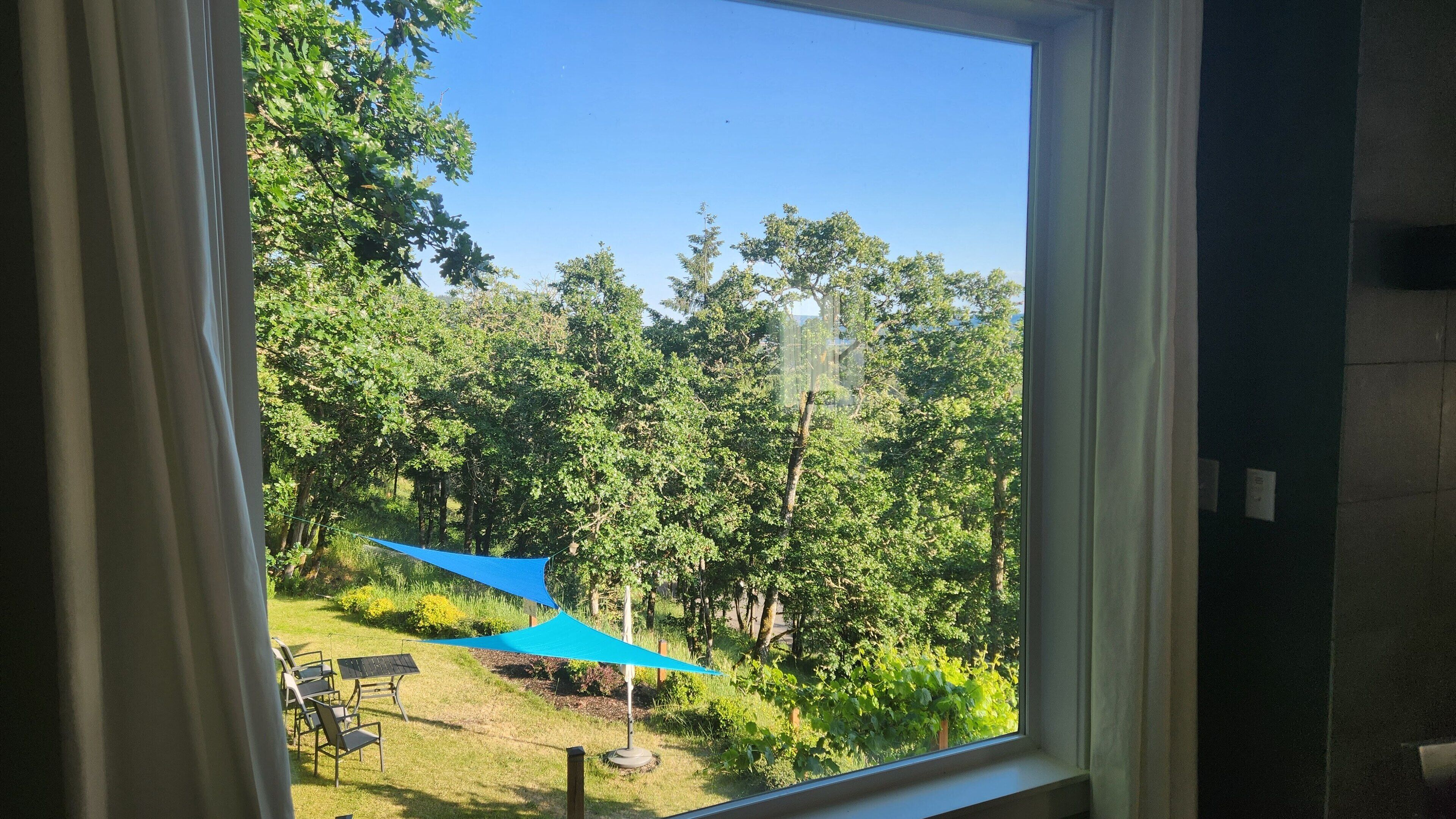 A window view of a garden with a blue canopy and outdoor furniture.