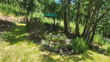 Ein Garten mit Sonnenschirm, Holzbank und verschiedenen Pflanzen.