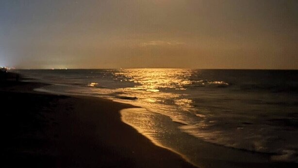 Una playa de noche con luna visible y olas del océano.