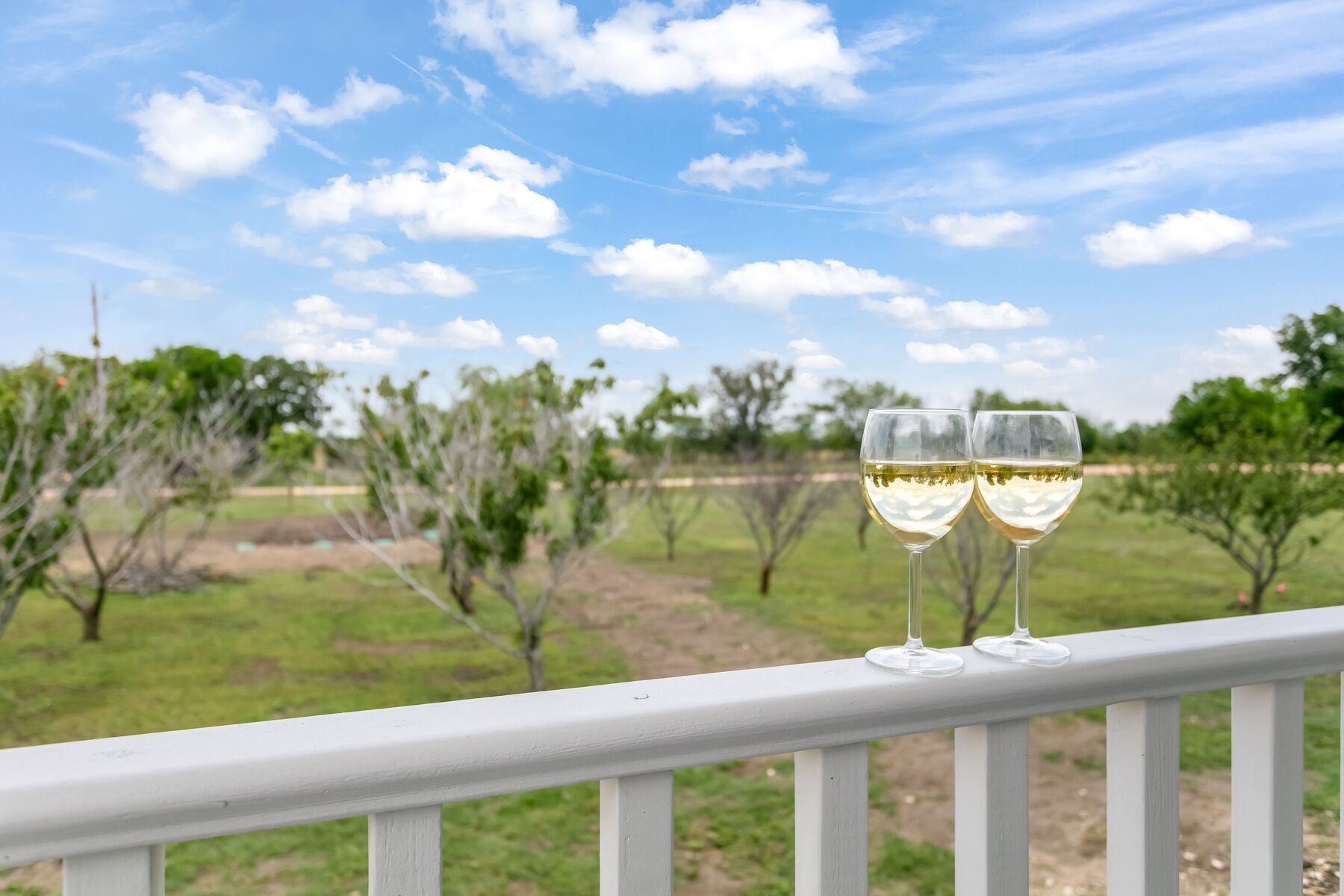 Das Glencairn Haus | 2/2 | Full Kitchen | Fire-pit | Pet Friendly w/ Fee
