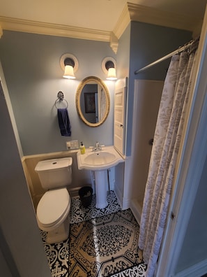 Towels, soap, shampoo, toilet paper - Historic Queen Anne Victorian, full of character, charm, and mystery. (Waupaca)