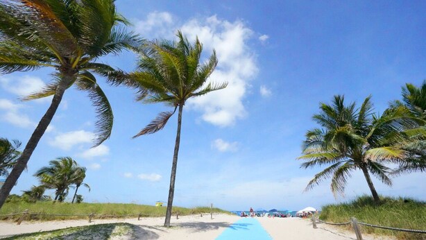 Un sentiero sulla spiaggia, palme, spiaggia sabbiosa e cielo azzurro limpido.