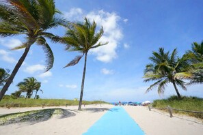 A beach path with palm trees, a sandy beach, and a clear blue sky.