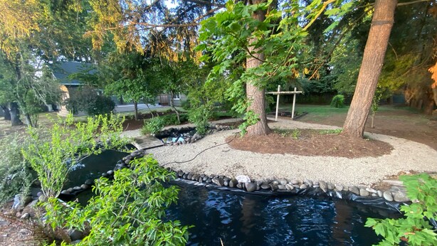 Un jardin avec un étang, entouré d’arbres et de plantes.