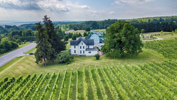 A large estate with a main house, expansive vineyard, and a road in the foreground.
