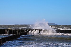 Unclassified image, 2 of 80, button