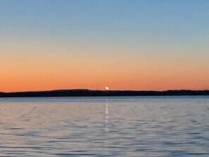 Unclassified image, 4 of 80, button