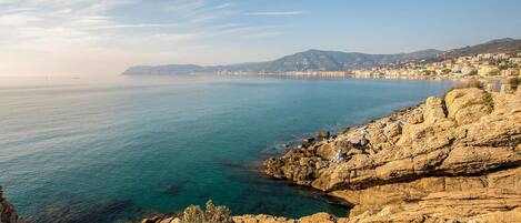 A coastal landscape with rocky terrain and a view of a distant city.