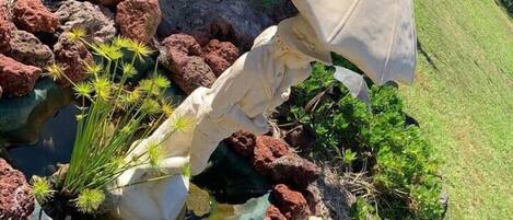 Terrein van de accommodatie