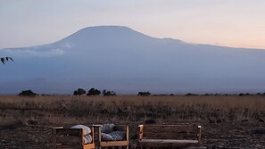 Dos bancos de madera mirando hacia una montaña.