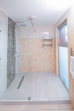 Shower, hair dryer, towels, toilet paper