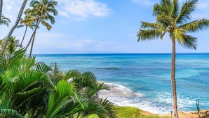 Una playa con palmeras y olas del océano.