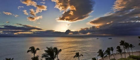Plage, chaises longues, serviettes de plage